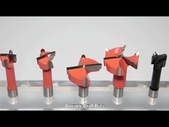 정강이 10x20mm 텅스텐 카바이드 삽입한 팁 나무 구멍 드릴 비트